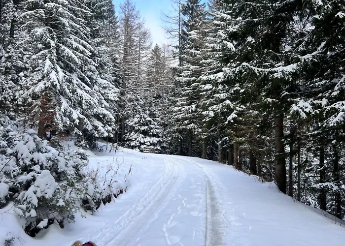 Chloe's 2 * Gloggnitz